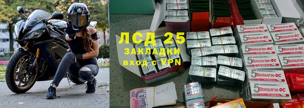 ПСИЛОЦИБИНОВЫЕ ГРИБЫ Бикин