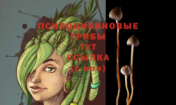 дмт Беслан