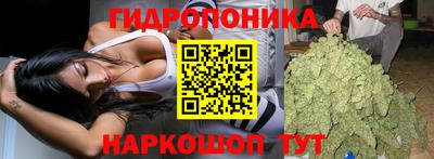 сатива Севастополь