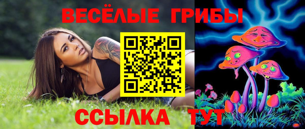 Галлюциногенные грибы Psilocybe Соликамск