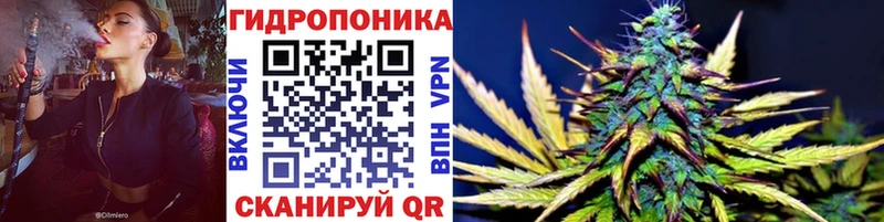 Бошки Шишки Amnesia  kraken зеркало  Соликамск 